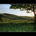 ... Ještě chvilku ...