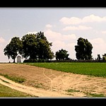 hrbitov