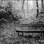 I v létě jsou šedé dny