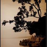 z ostrova Krk 1.  ........