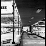 Chvíle před startem