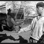 Cukříček už není