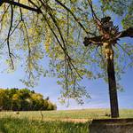 Kříž v poli
