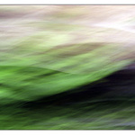 Spirit of The Country