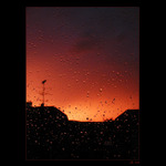 Západovka deštivá