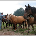 Ranč pod Ostrou skalou 4