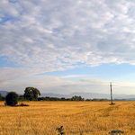 ráno