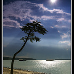 Strážca pobrežia (ii.)