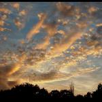 Cervanky....oranzovo - zluty...o)