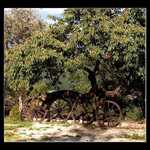 na styroch kolesach....