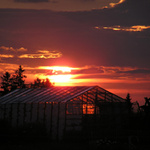 Západ nad skleníkem