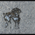 Chrachel Art - Pudlik