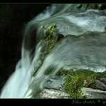 Pražský Botič II.