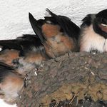 dvojí názor na fotografa