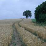 K vyhlídce u křížku