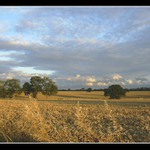 Prochazka do poli I.