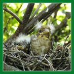 Dlask 3 - pohled na svět.