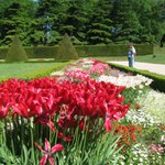 Les Fleurs du Parc de Sceaux