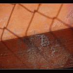 abstract - tehla & tien