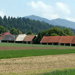 Stodoly