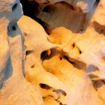 <b>::Asociácie::</b><br/>... ľudské masky ...