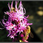 Mařko, neschovavej se mi tam!!