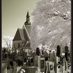 Hřbitovní romantika