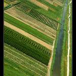 V zajatí línií II.