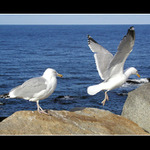 Kam utíkáš, ještě jsem ti to nedořekla ...