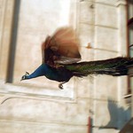 3....2....1.... start