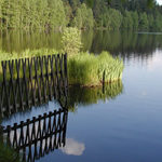 Podvečer krásného dne na rybníku Kladská