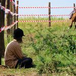 Jezdec nabírající síly