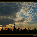 Tak to vidi zvirata kdyz usinaji?