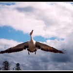 Drzte sa ...pristavame !!