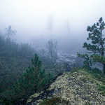 Horská mlha