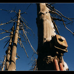 Stiskem vypni, tahem zapni....