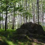 Skalka v "Břízkách"