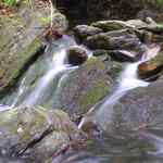 Šumný potok v Jeseníkách