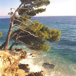 Pobřeží Makarské riviery