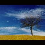 Hra mraků v Javorníkách