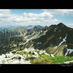 Roháče v celé své kráse