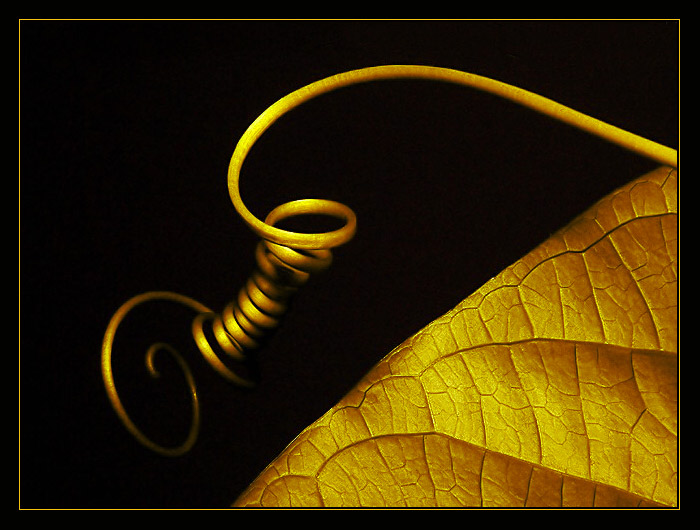 Šperky kolem nás...