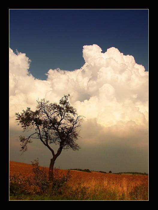 ...jasno, k večeru od západu oblačno a bouřky...
