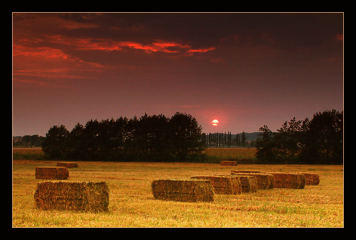 .:: Za chvíli přistanou... ::.