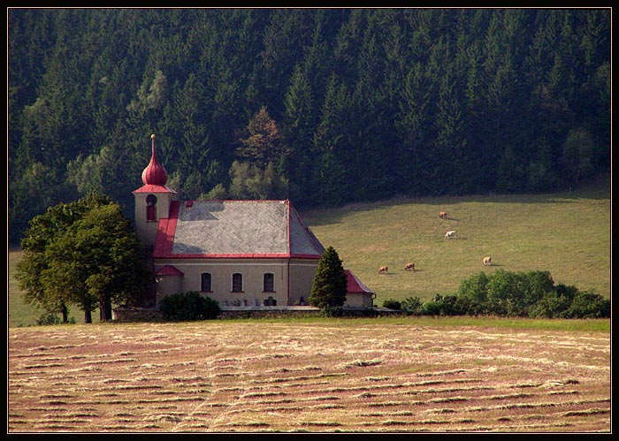 Podvečerní pohoda...