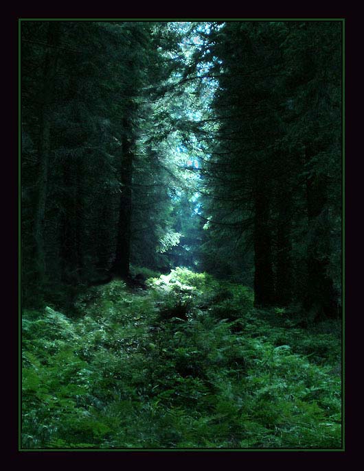Krkonošské variace