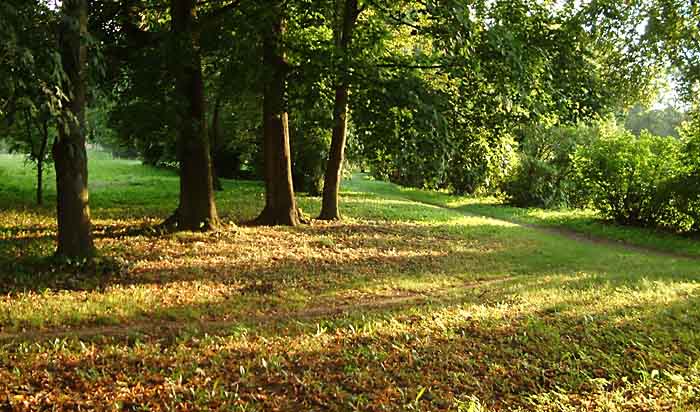 Petrohradský park II