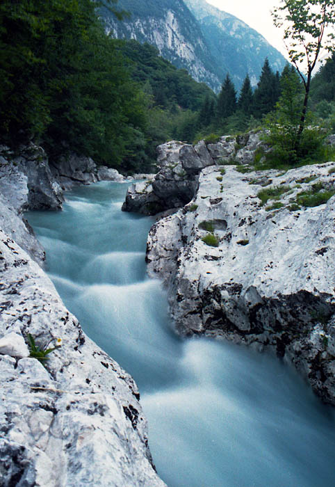Koritnica