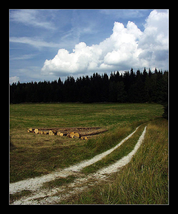 Cesta do černého lesa...