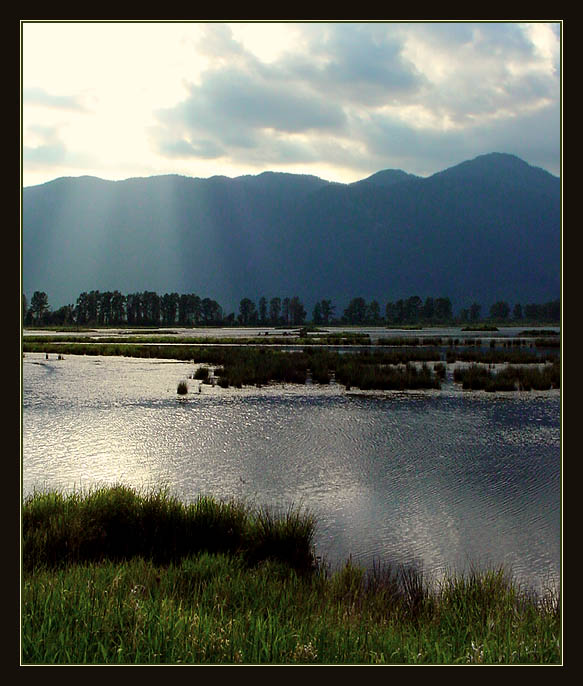 Pitt lake